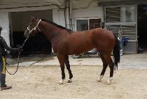 ����Ʈ�̼� (BEST MISSION) ����