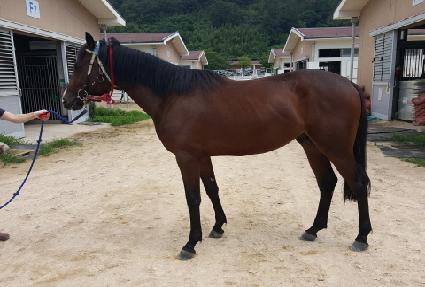 ȯ���ǹٶ� ����