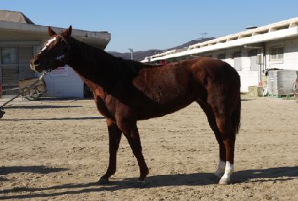 �������� ����