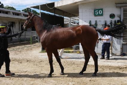 ������� ����