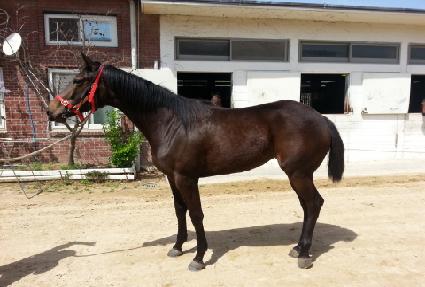 �۽�Ʈ�� ����