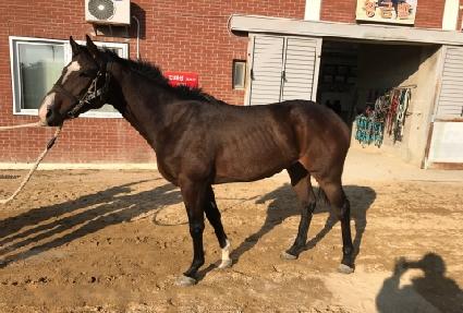 ĸ���̽� ����