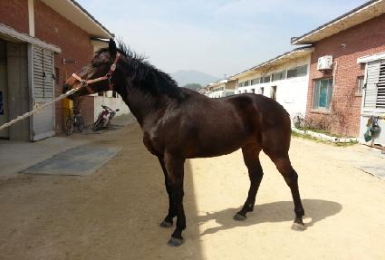 ��Ƽ���Դ� ����