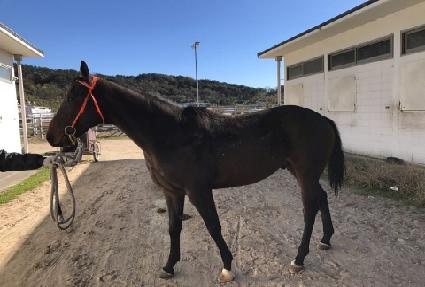 ȣ��Ǯ���̸� ����