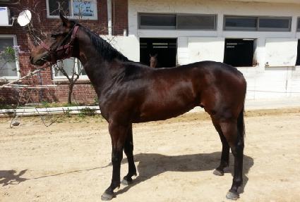 ��κ� ����