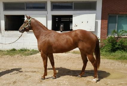 �ݺ����� ����