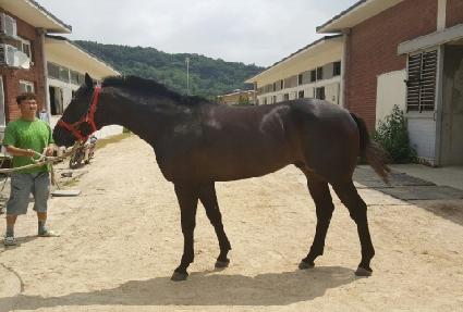 �Ŀ����� ����