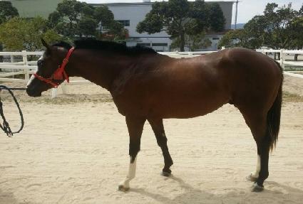 �ٸ��� ����