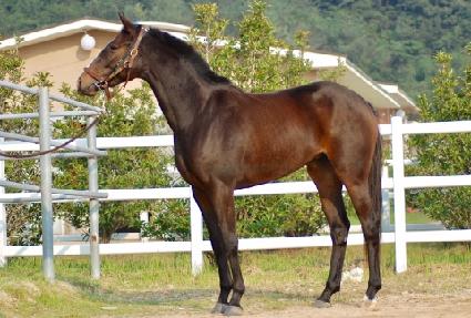 Ȳ�ݵ����� ����