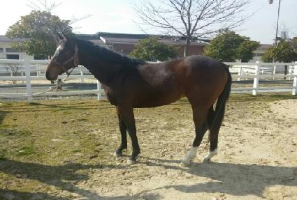 �Ƹ��ٿ��ħ ����