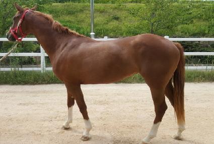 ��ε�ǳ ����