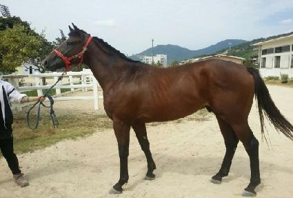 �ձ� ����