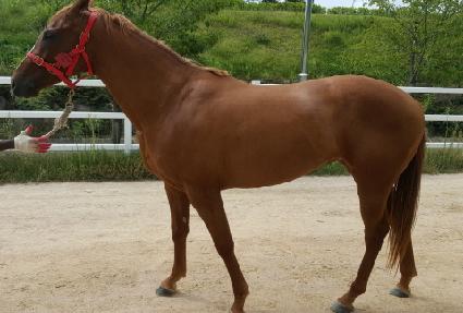 ���� ����