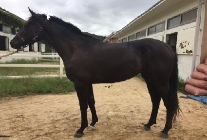 �͸����� ����