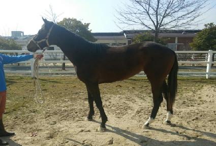 ���ۺ��� ����