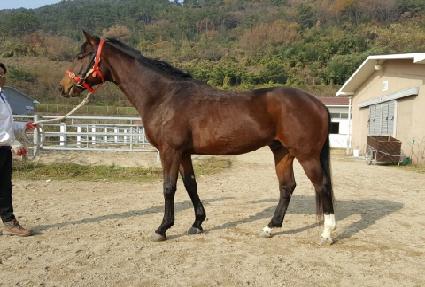 �Ｚ�����̵� ����