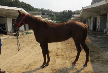 Ŭ������ ����