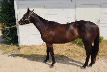 �����۷��� (HYPER LOOP) ����