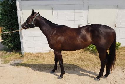 �����۷��� ����