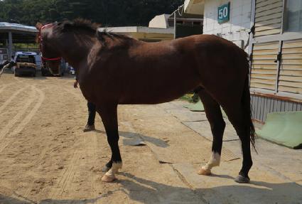 ����Ŀ� ����