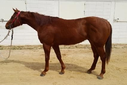 ��ũ���� ����