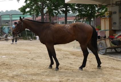 �ο����̽� ����