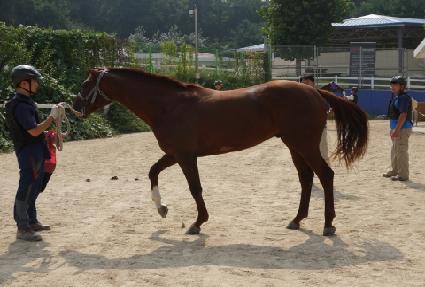 �����ں�� ����