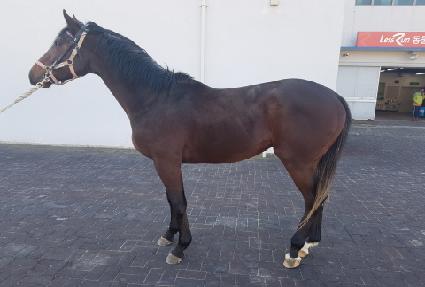 �����йи� ����