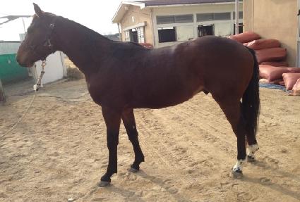 ����Ʈ������ ����