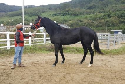 ��ũ���� ����