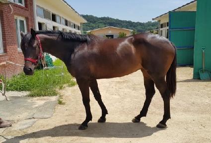 Ʈ��������� ����