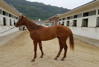 �ź������� ����