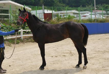 â�����ı� ����