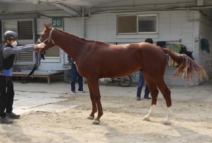 õ�� ����