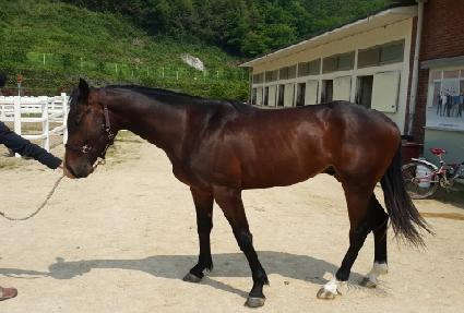 �츮��� ����