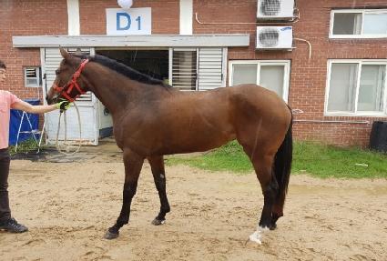 ��ٺ��丮 ����