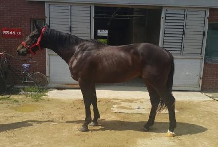 �Ƶ������ ����