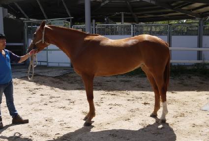 �������� ����