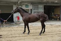 ���Ӵ� (HAENGUN MONEY) ����