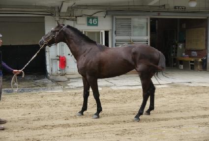 ���Ӵ� ����