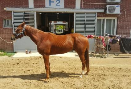 �������ο� ����