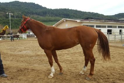 Ȩ���� ����