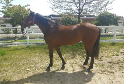 �̺����� ����