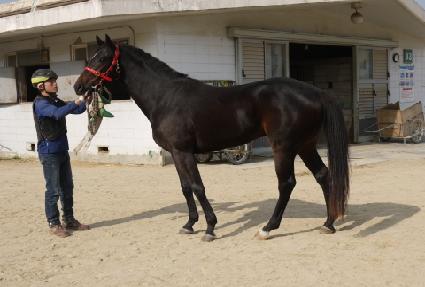 �߽��� ����