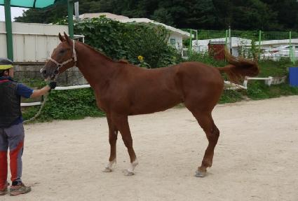 ������屺 ����