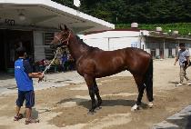 �Ŀ����� (POWER SWING) ����