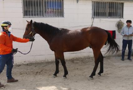 �ް����� ����