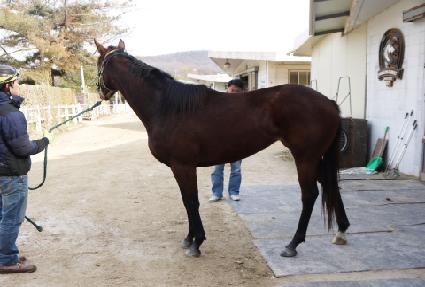 �ް���Ʈ ����