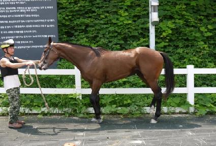 ������� ����