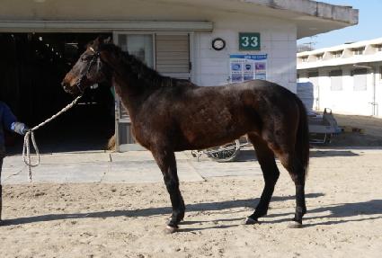 ������ü ����